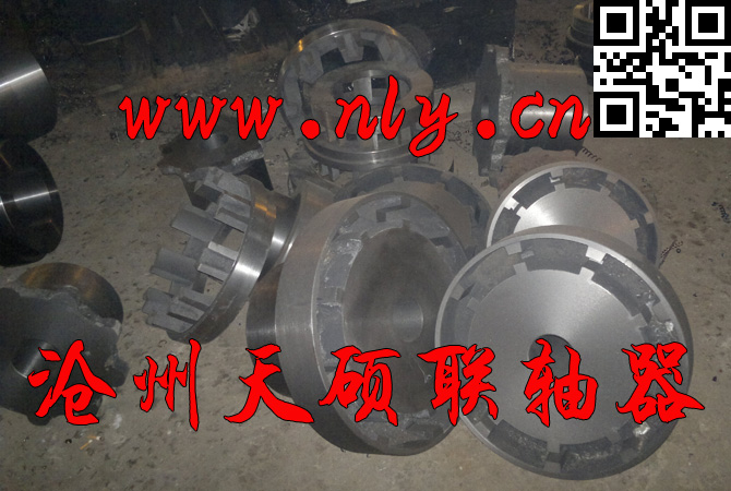 H形彈性塊聯(lián)軸器(N-EUPEX)