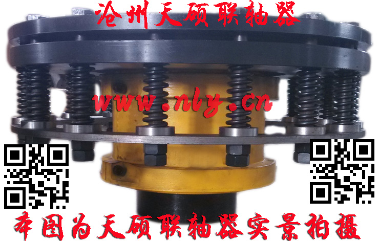 安全型蛇形彈簧聯軸器,連軸器,蛇形彈簧聯軸器