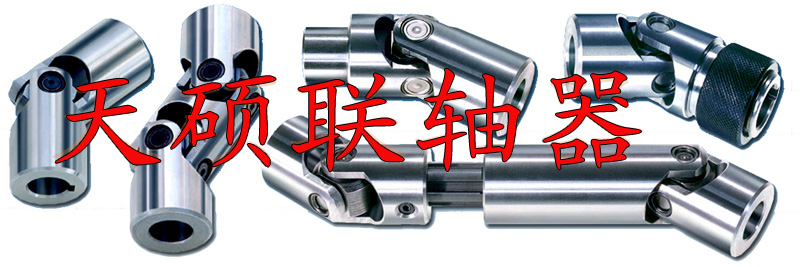 小型十字軸萬(wàn)向聯(lián)軸器